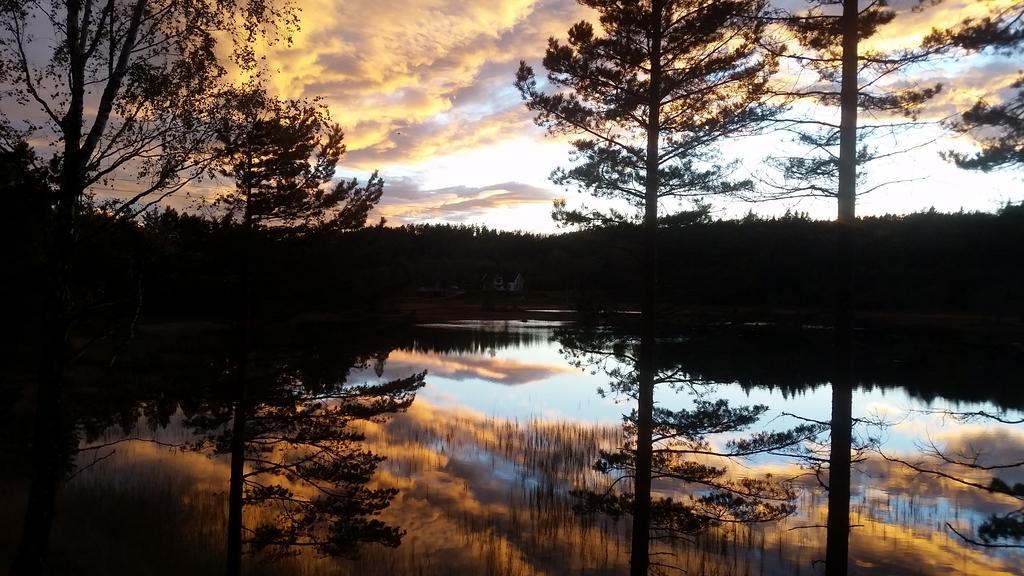 Apartmán Bjorkeskogen Mjavatn Exteriér fotografie