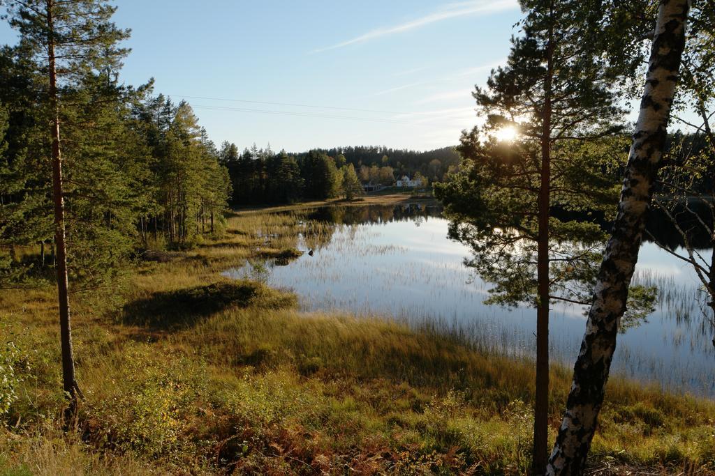 Apartmán Bjorkeskogen Mjavatn Exteriér fotografie