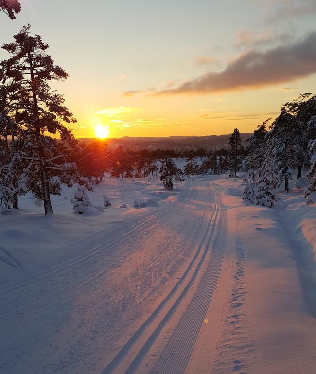 Apartmán Bjorkeskogen Mjavatn Exteriér fotografie